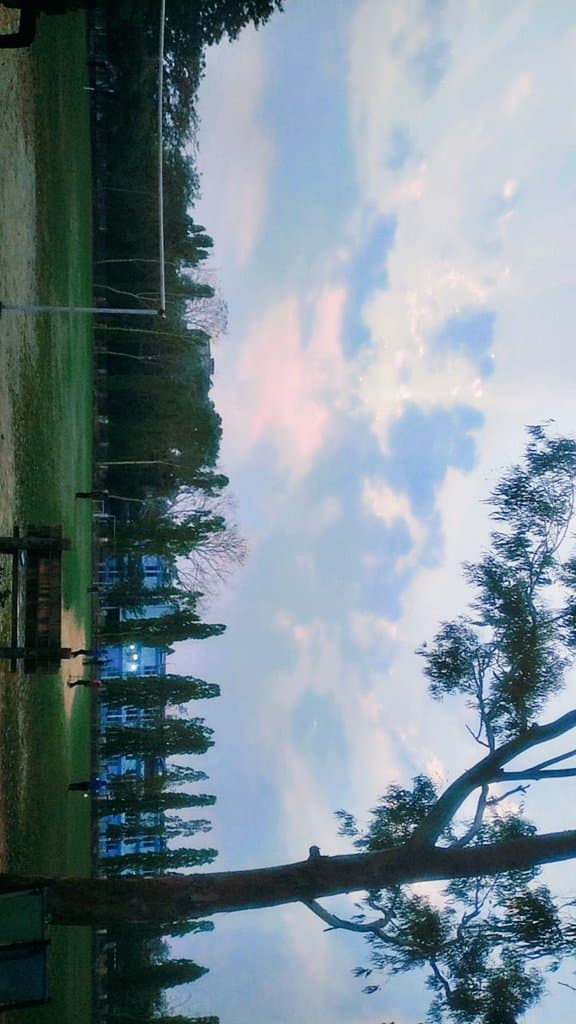 Clg View
